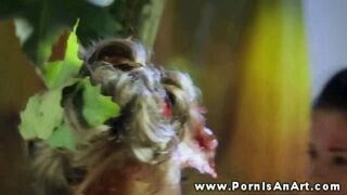 Kettő forró bige nyaldosja a punciját a szabadban